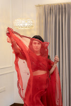 Dupatta Close-up view of Aarohi Festive Lehenga set .