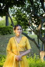 Kesar Aangan Lehenga Set