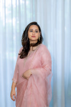 Meera Organza Suit Set