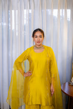 Ambika Gharara set
