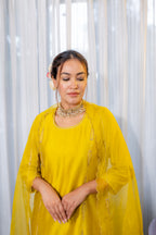 Ambika Gharara set