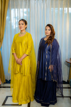 Ambika Gharara set