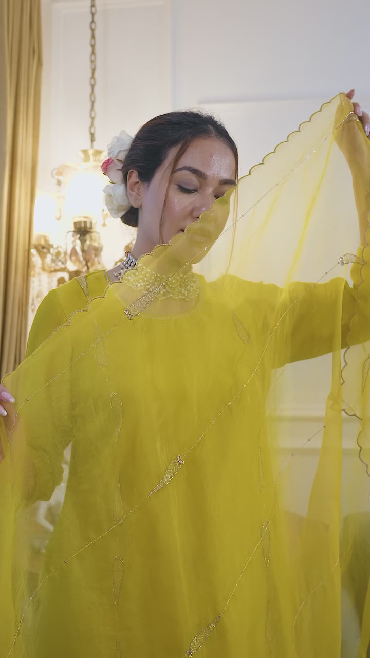 Ambika Gharara set